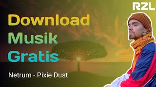 Netrum - Pixie Dust | Download Musik Gratis untuk youtube