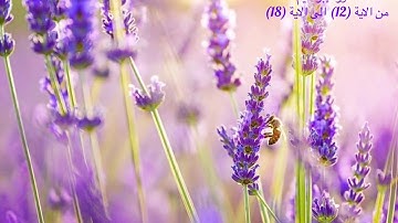 القارئ اسلام صبحي ، سورة ابراهيم ، من الاية (12) الى الاية (18)
