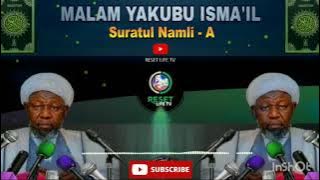Malam Yakubu Ismail Suratul Namli Hausa Version @RESETLIFETV@islam_populer99 @Darul_Taqwa