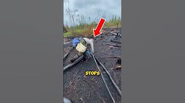 Planting 23,000 Trees in a Day 🤯