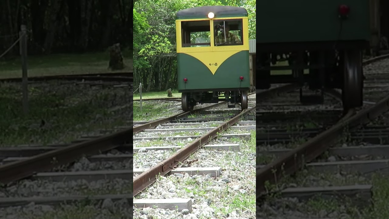 狩勝電鉄　モハ８ 2026年 最新走行風景 #train #shorts