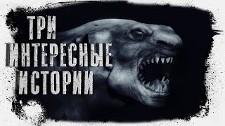 Три интересные истории | Миля | Чеширко | Абалкин