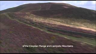 Heather and Hillforts - Y Grug a'r Caerau yn gymraeg- Welsh language -English subs.mp4