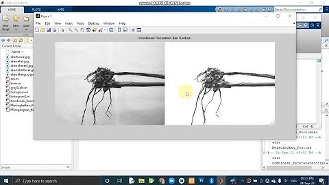 Kombinasi Kecerahan dan Kontras Citra pada MATLAB - Operasi Piksel || Dokumentasi