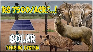 SOLAR FENCING SYSTEM: Keep Animals Out & Crops Safe | CCM Solar Fence Installation Made Easy
