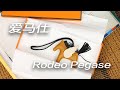 Vlog1612爱马仕Rodeo、Rodeo Pegas 小马挂件