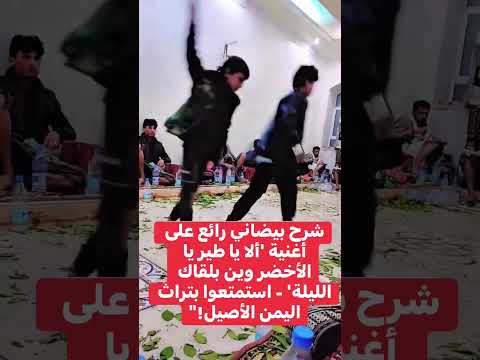 شرح بيضاني رائع شيلة الاياطير يالخضر وين بلقاك الليلة