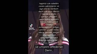 Hani Gitmeyecektin Beni Borakmicaktin? - Nay