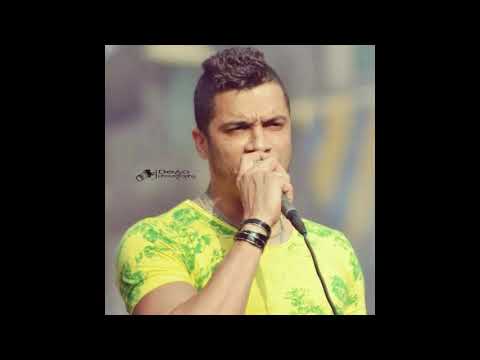 اغنيه زي الفيزا موناليزا الكل احتار في جملها