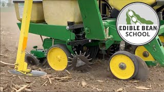 Edible Bean School: Prepping the planter for edible beans