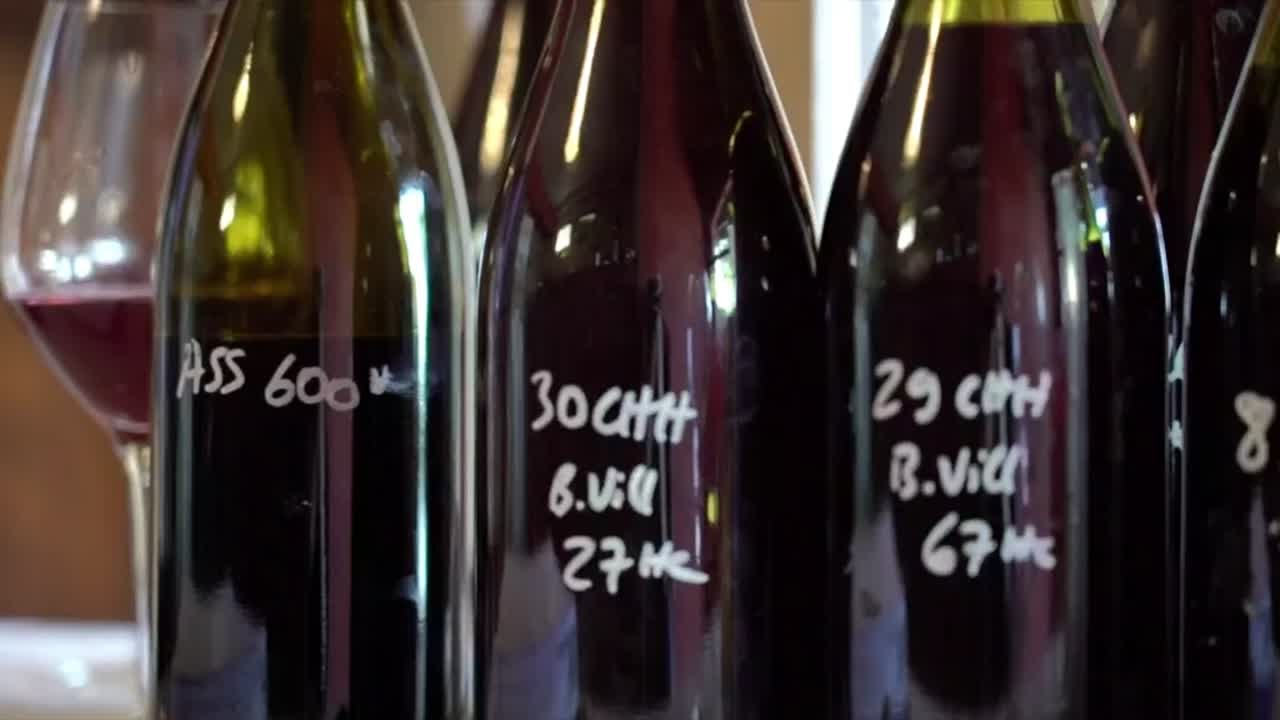 Le vin français taxé à 25% aux États-Unis : Les viticulteurs voient rouge inform