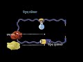 Physical properties of non metal(part-2)[ODIA] |Metal &amp; non metal |Class 8 | Chemistry |Khan Academy