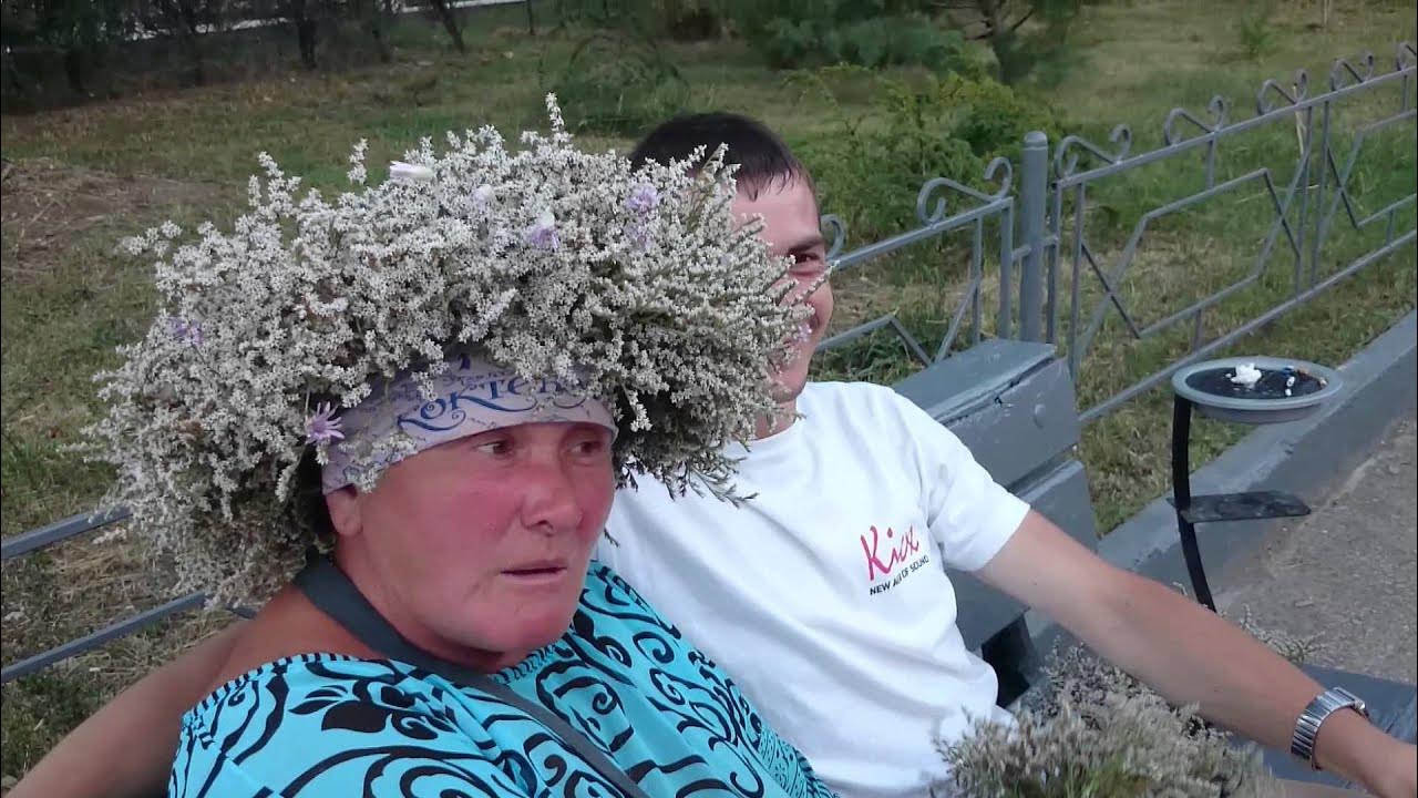 Ебун трава фото
