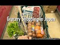 Last Shopping Compilation of 2023 🎵supermarket, goodies shop & 100yen store in Japan