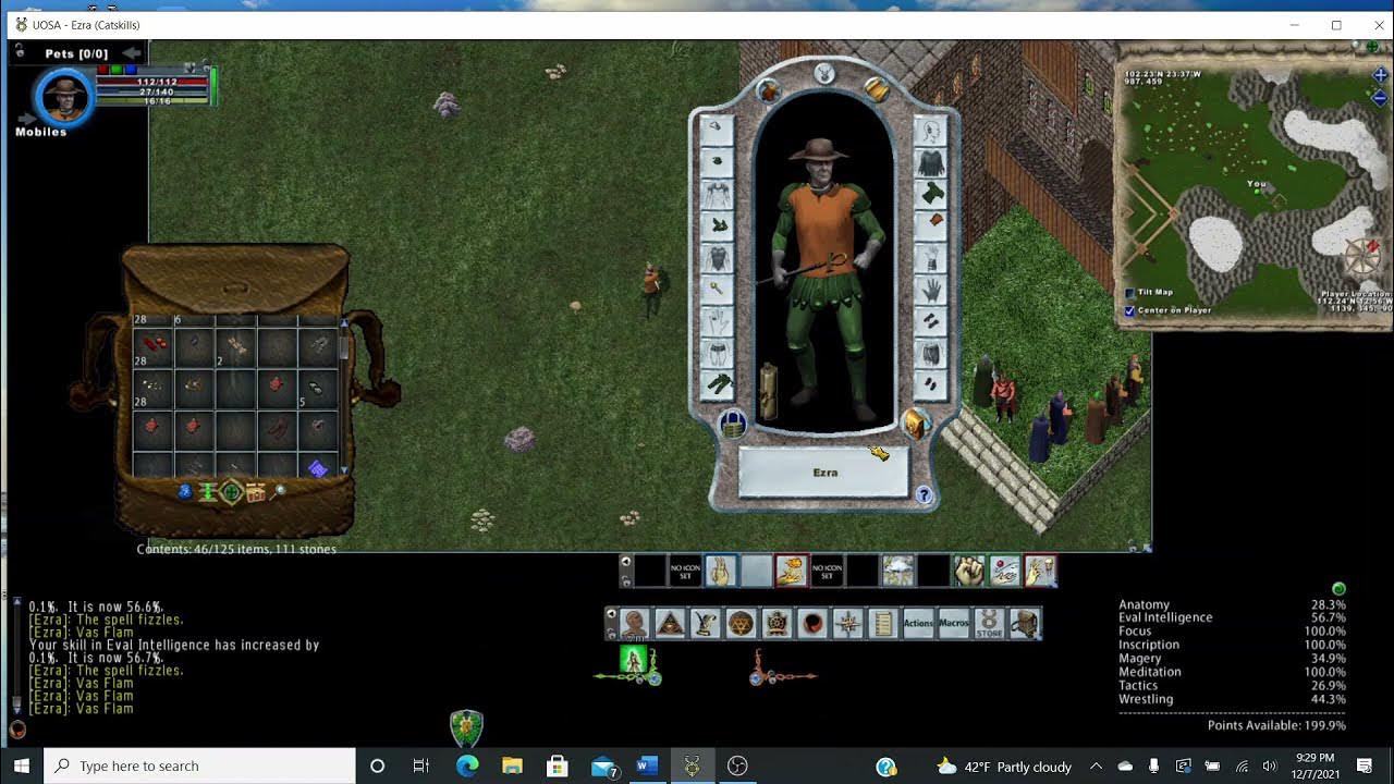 Ultima Online Training Magery (Journeyman) YouTube