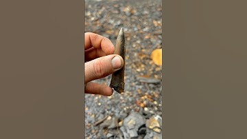 Ancient SQUID Creature FOUND On Beach 🤯🦑🔨