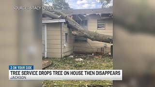 Tree service drops tree on house, now dodging owner’s calls