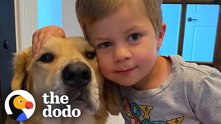 This Dog Is So Loyal, He Checks Up On Toddler Every Night | The Dodo Soulmates - DayDayNews