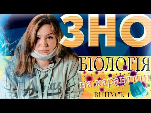 ЗНО. Біологія на карантині. Білки, ліпіди, вуглеводи.