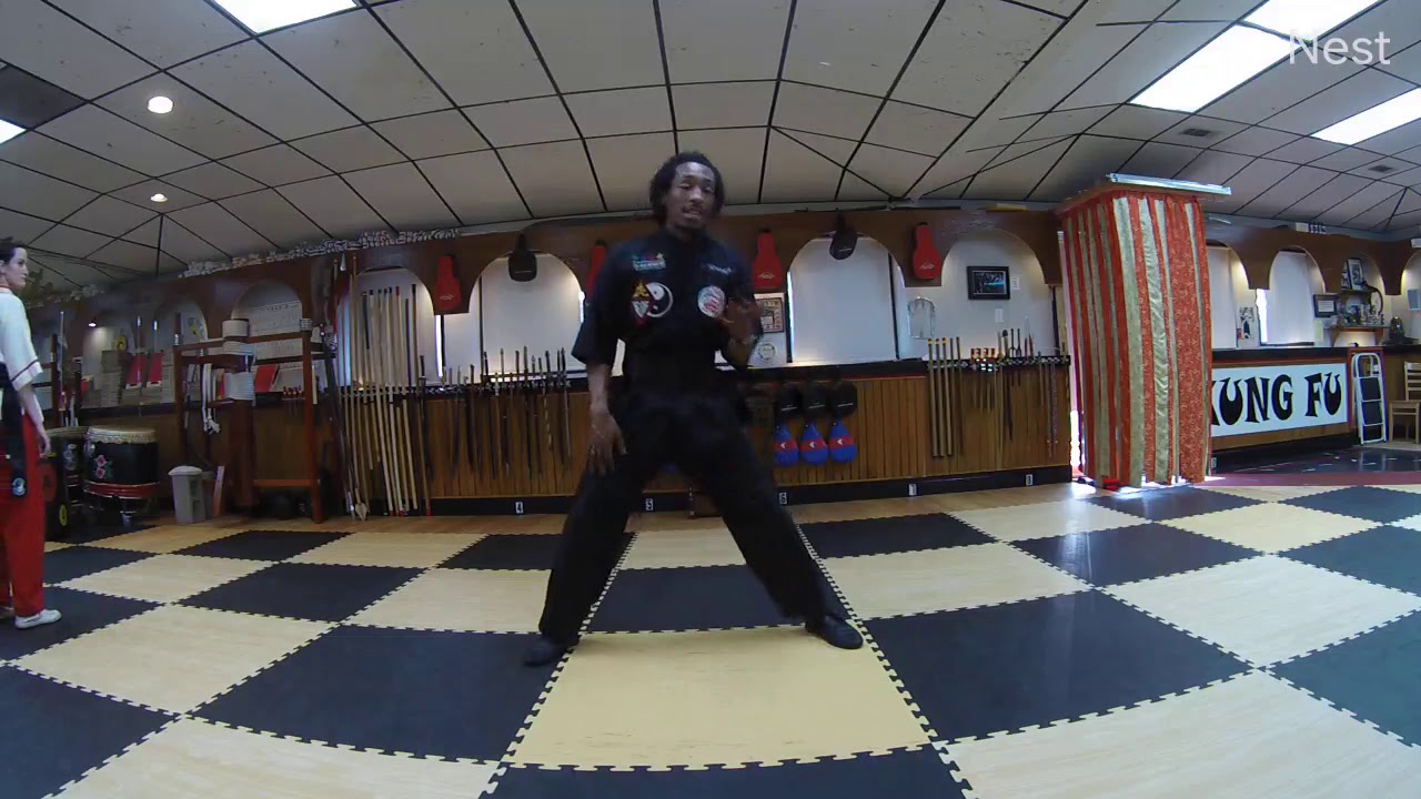 Kung Fu Poison hands and Iron body YouTube