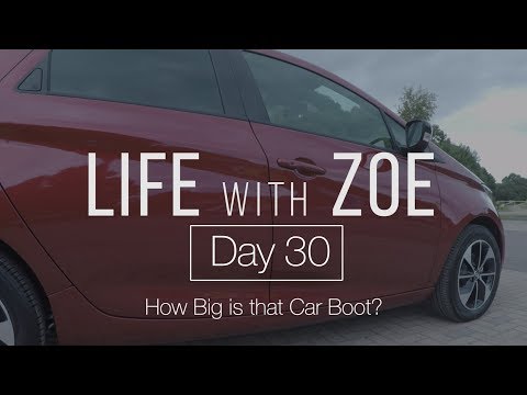 LIFE with ZOE