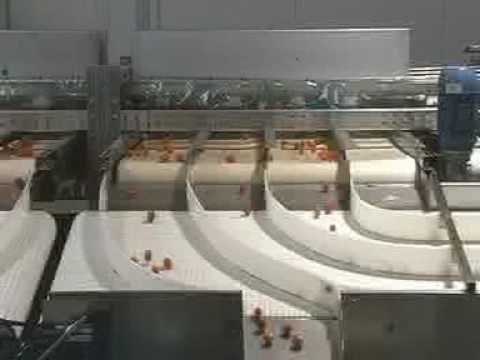HyperVision - Grape Tomato Sorting