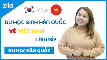 DU HỌC SINH HÀN QUỐC VỀ VIỆT NAM LÀM GÌ? | Du học Hàn Quốc cùng Zila