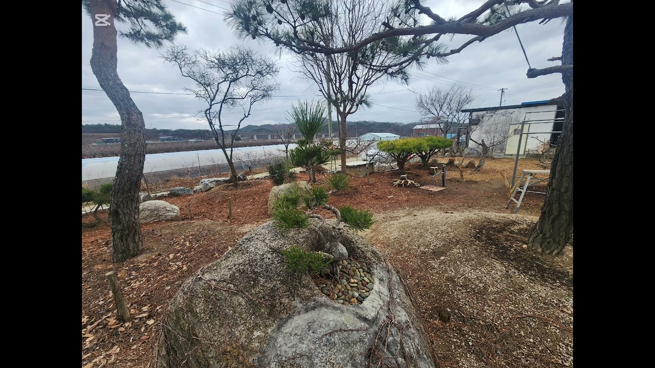 그대 지금 무얼하며 더디 오는가|세월호|청사시