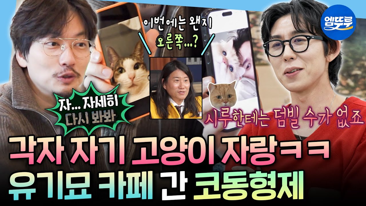 [나혼자산다] 갑자기 시작된 미모 대결🐱 코드 쿤스트 VS 이동휘 반려묘 귀여움 승자는?ㅣ#코드쿤스트 #이동휘 MBC260227방송