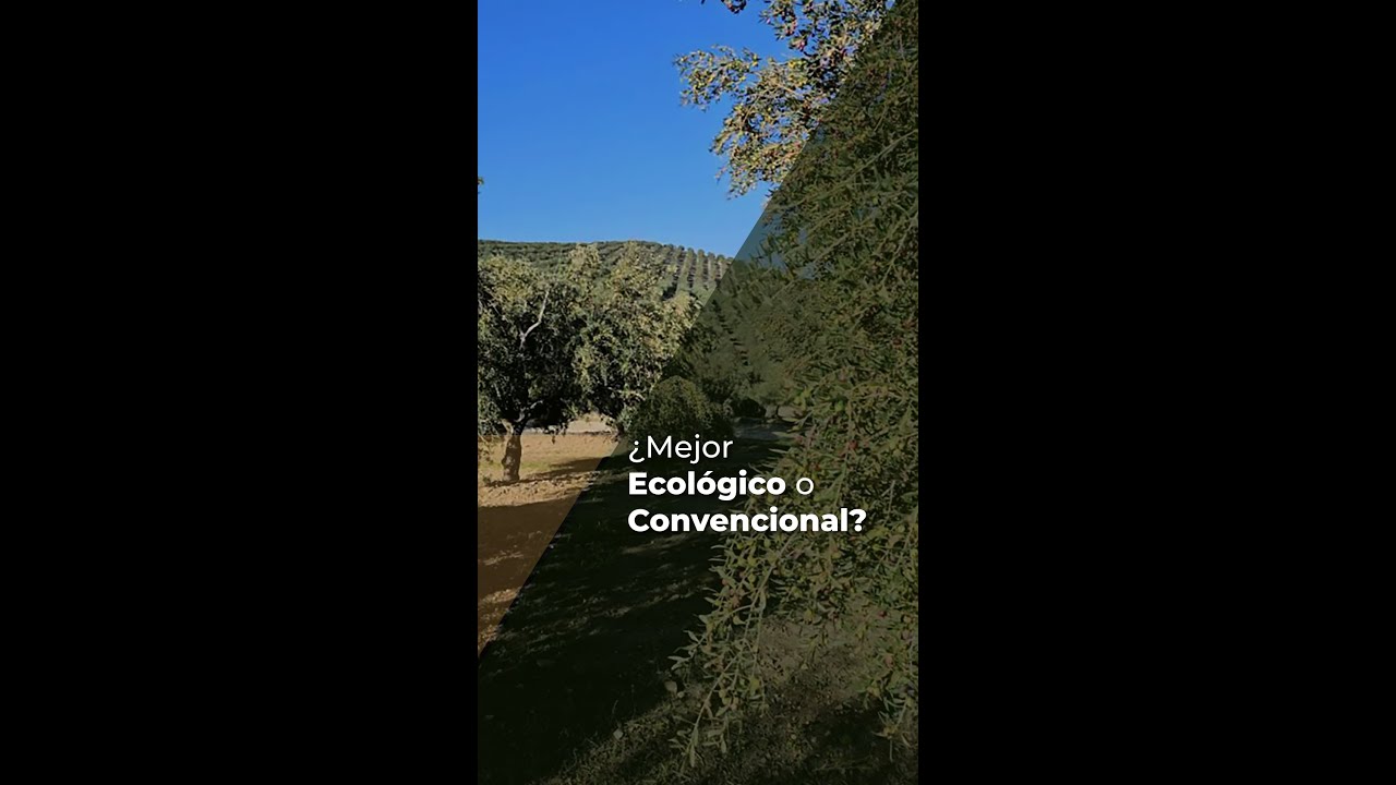¿MEJOR ECOLÓGICO O CONVENCIONAL?