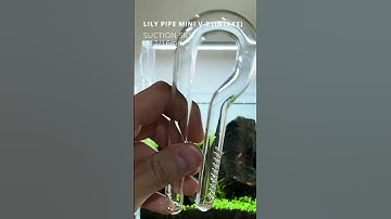 Eheim Filter and ADA Lily Pipes - Aquascape Setup Tutorial #aquascape #canisterfilter