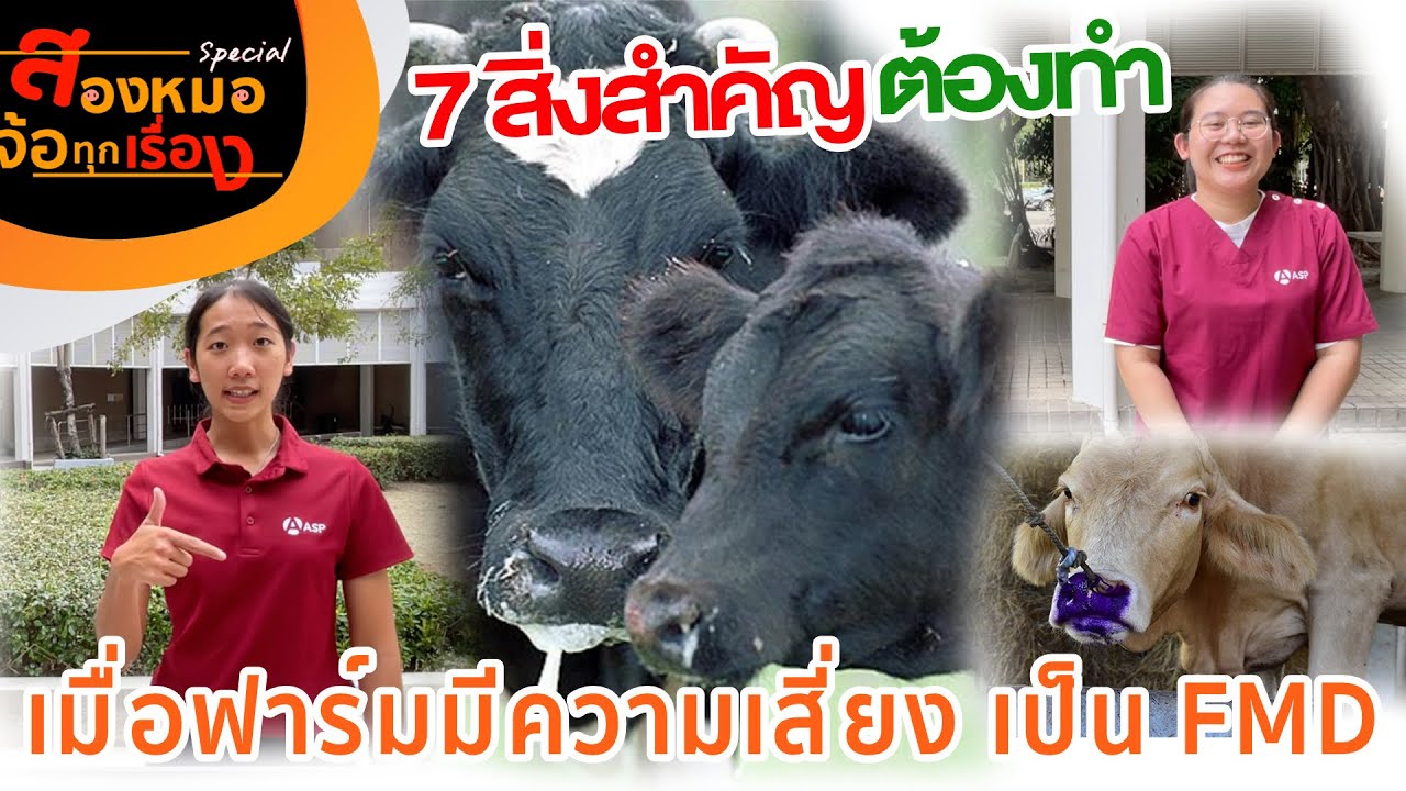 7สิ่งสำคัญ ต้องทำ!!!...เมื่อฟาร์มวัว มีความเสี่ยงเป็นFMD #สองหมอ จ้อทุก ...