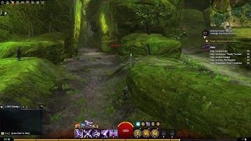 GW2 - Point of Interest - Dolorous Vale - Caledon Forest