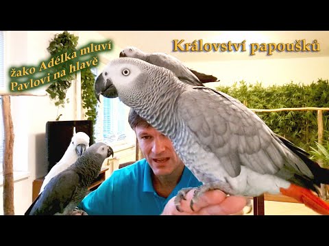 Video: Jiný obraz světa. Část 02