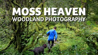 A Great End to my Photography in Wales @SimonBaxterPhotography