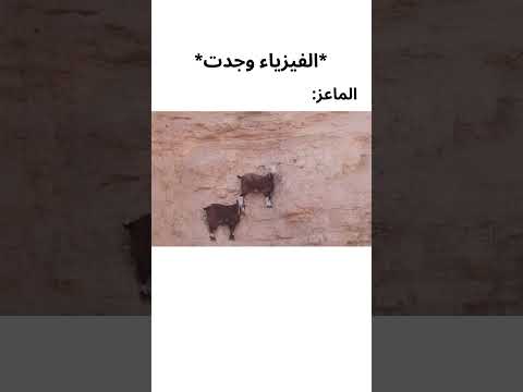 ميمز روعة V130 شورت ميمز