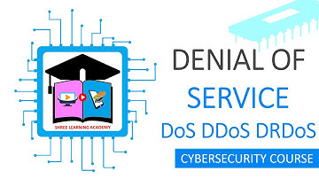 Beyond DoS: Understanding DDoS and DRDoS Attacks for Network Security