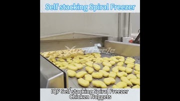 IQF Self-stacking Spiral Freezer Freezing Chicken Nuggets