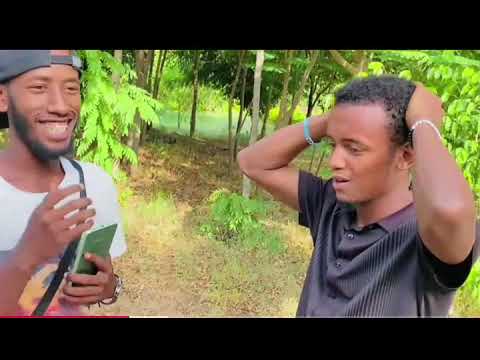 Samiriine Jalaltuu Hanaraa Naa Qabee Jee