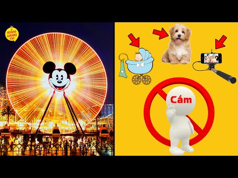 Video: Tránh các tuyến Disneyland sử dụng RideMax: Đã được kiểm tra và chứng minh