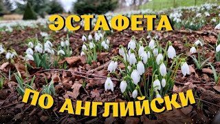 Лондон. Эстафета садоводов и цветоводов. Ботанический сад Kew Gardens. 3 февраля 2024.