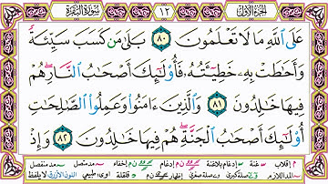 القرآن الكريم مقسم صفحات | الشيخ حاتم فريد | سورة البقرة | صفحة 12 مكتوبة | مصحف التجويد الملون