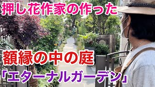 【アイディア満点】試行錯誤で作り続ける押し花作家の庭公開　　　　　　【カーメン君】【園芸】【ガーデニング】【個人庭】【丹羽さん】