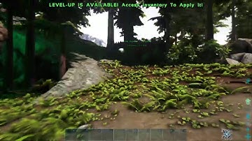 How to spawn in any level rock golem