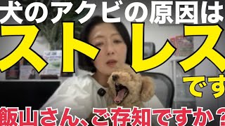 キクタケ進chの配信のサムネイル画像