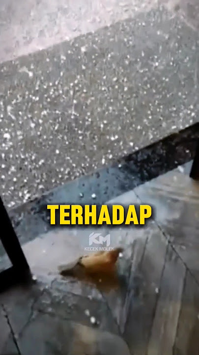 Sikap Belas Kasihan Terhadap Haiwan😍 #faktaunik #viral #malaysia