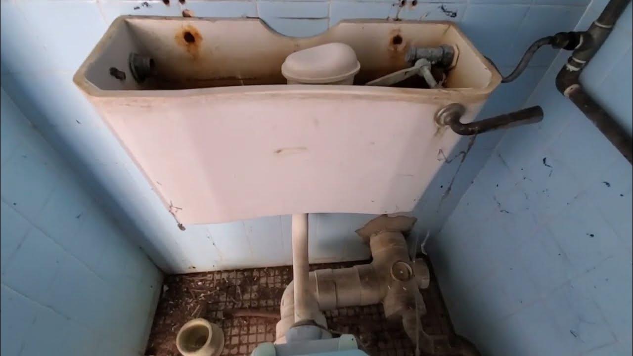 Blue 1990's INAX toilet on a Low Level 1940's Twyfords Vitromant No