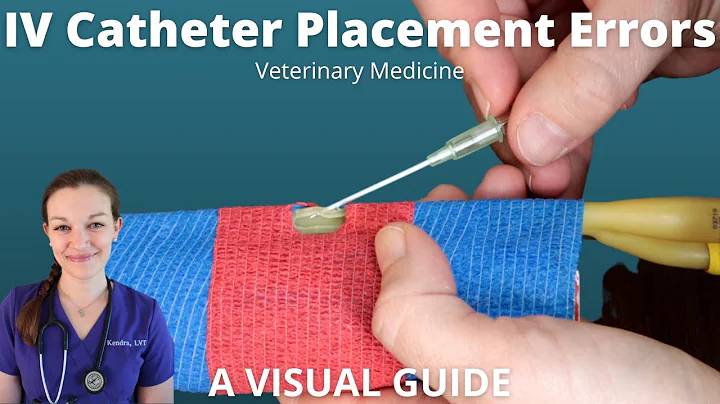 IV Catheter Placement Errors in Veterinary Medicine