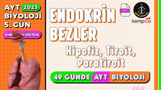 5 Endokrin Bezler Endokrin Sistem 11. Sınıf 2023 Ayt Biyoloji Kampı 5. Gün