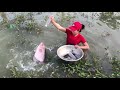 Unbelievable FISH TRAP with OYSTERS for GIANT Gourami Fish